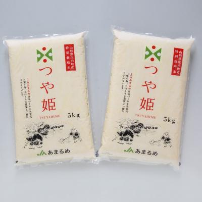 ふるさと納税 庄内町 JAあまるめ 山形県庄内町産 特別栽培米つや姫 10kg 5kg×2袋 令和7年産 2025年産