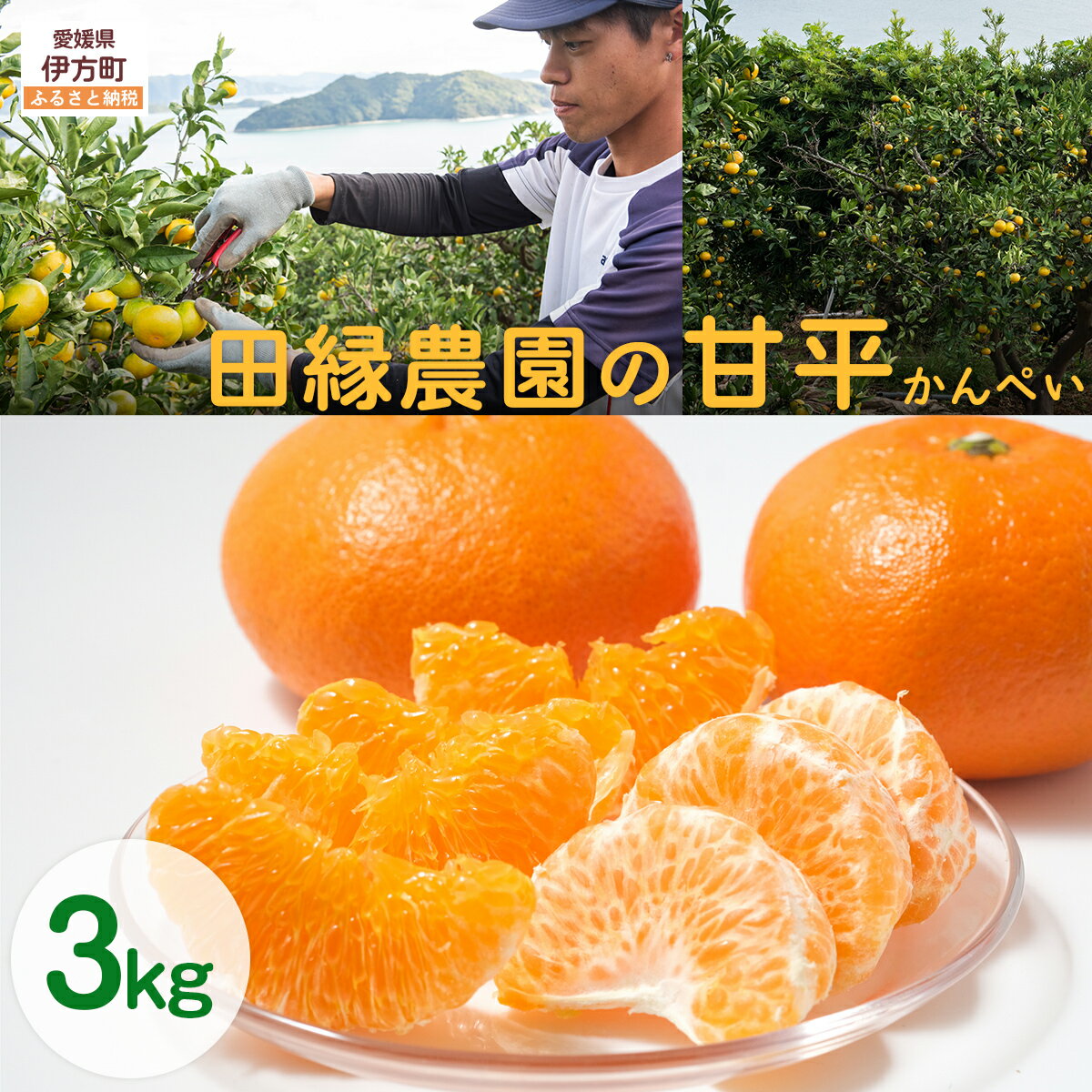 【ふるさと納税】【先行予約】【数量限定】田縁農園の甘平（かんぺい）3kg ※離島への配送不可 （2026年1月25日より順次発送） 【ふるさと納税 人気 おすすめ ランキング みかん ミカン 蜜柑 甘平 かんぺい フルーツ 愛媛県産 田縁農園 愛媛県 伊方町 送料無料】 IKTA016