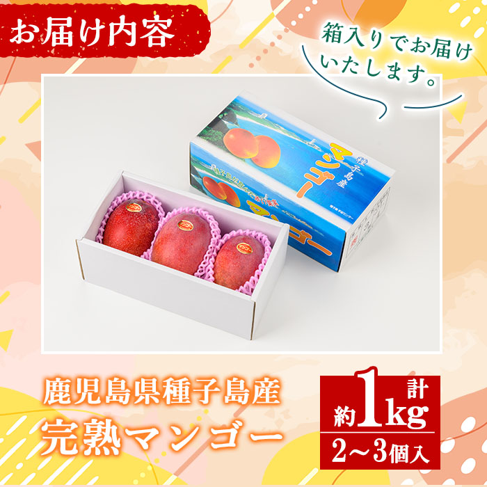 n257 【期間限定】＜先行予約受付中！2025年7月中旬～8月中旬の間に順次発送予定＞鹿児島県種子島産完熟マンゴー(1kg・2～3個入)【種子屋久農業協同組合】