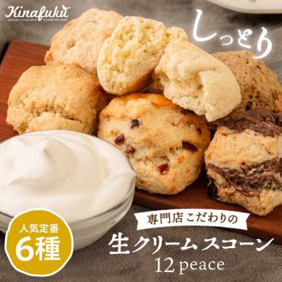 ふるさと納税 糸島市 スコーンのイメージ が変わる! 定番 スコーン 12個セット  糸島市 [AFA001]