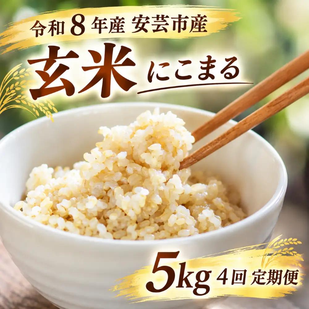 先行受付 令和8年産 にこまる玄米 20kg 5kg×4回 定期便 【にこまる】