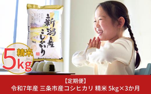 [定期便5kg×3か月] 令和7年産 新潟県三条市産コシヒカリ 計15kg こしひかり 3か月連続でお届け [株式会社白熊]【020S013】