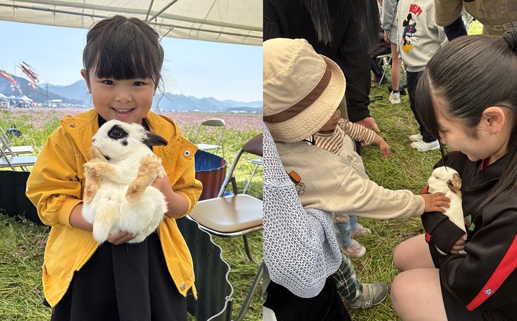 【返礼品なし】 野村高校 魅Can部 （動物ふれあい部、相撲部）への応援寄附