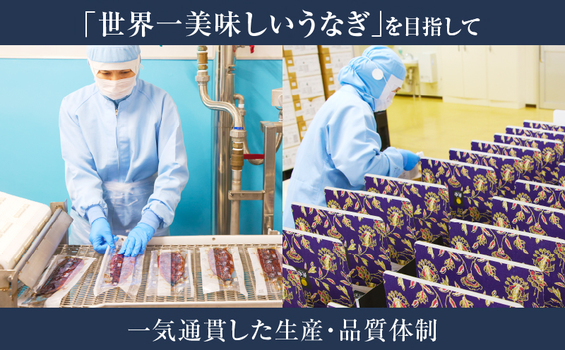 うなぎ蒲焼5尾(さんしょう・たれ付き)計800g以上 鰻 魚 魚介 加工品 国産_T026-003