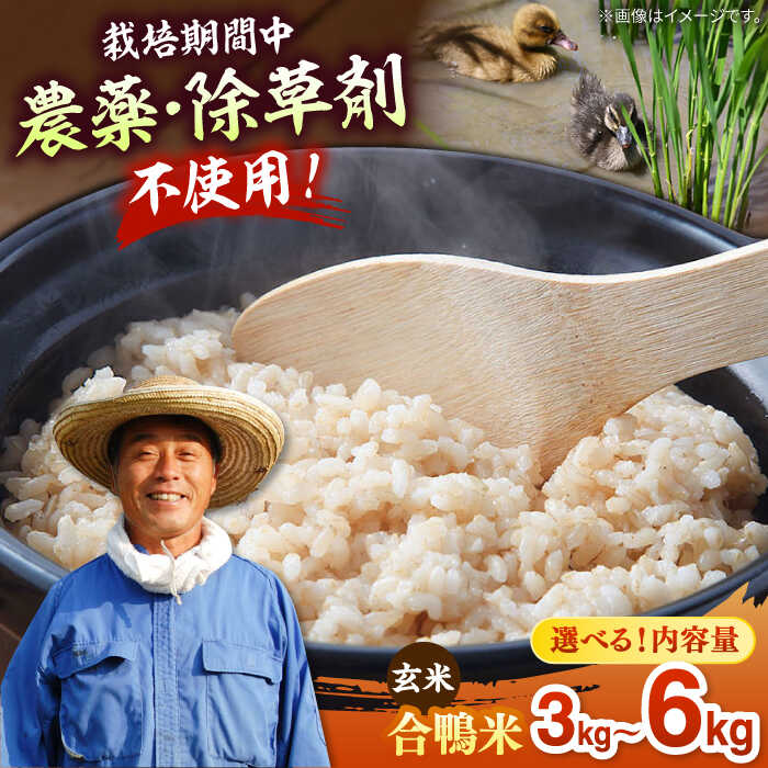 【ふるさと納税】【選べる内容量】【 令和7年産 】古野農場の合鴨農法で作った合鴨米（ 玄米 ）3kg / 6kg ▼ 福岡産 令和7年 農家直送 名産品 合鴨農法 玄米 桂川町/合鴨家族 古野農場[ADAL001] 15000 以上 15000円 以上 1万円 以上