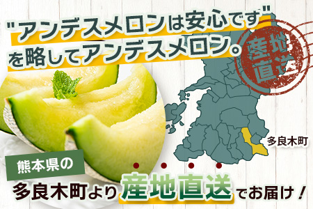 【2026年4月下旬以降発送分】 アンデスメロン 4玉～6玉（1箱5kg） 先行予約 熊本県 多良木町産 メロン 果物 フルーツ 旬 くだもの 予約受付 012-0556