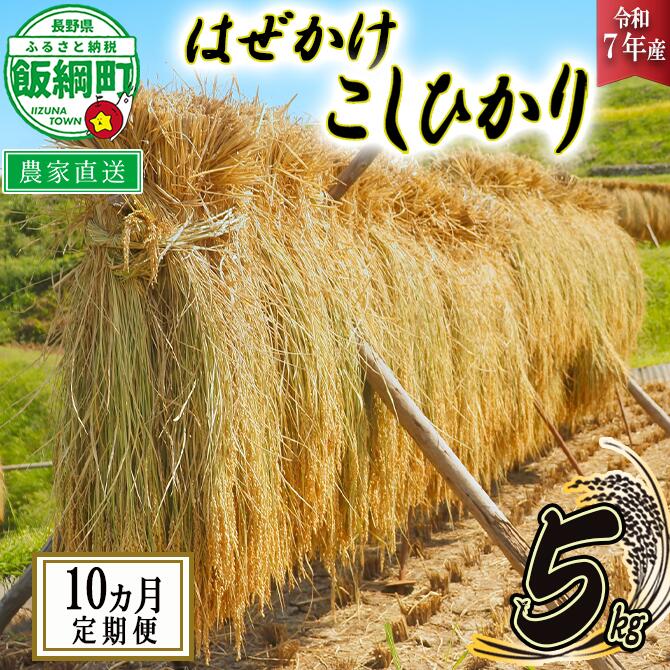 【ふるさと納税】 米 はぜかけ こしひかり 5kg × 10回 〔 10か月 定期便 〕( 令和7年産 ) 増田さんちのお米 沖縄県への配送不可 長野県 飯綱町 〔 コシヒカリ 白米 精米 お米 信州 予約 農家直送 〕発送時期：2025年11月上旬〜 [お届け10回 (**)]