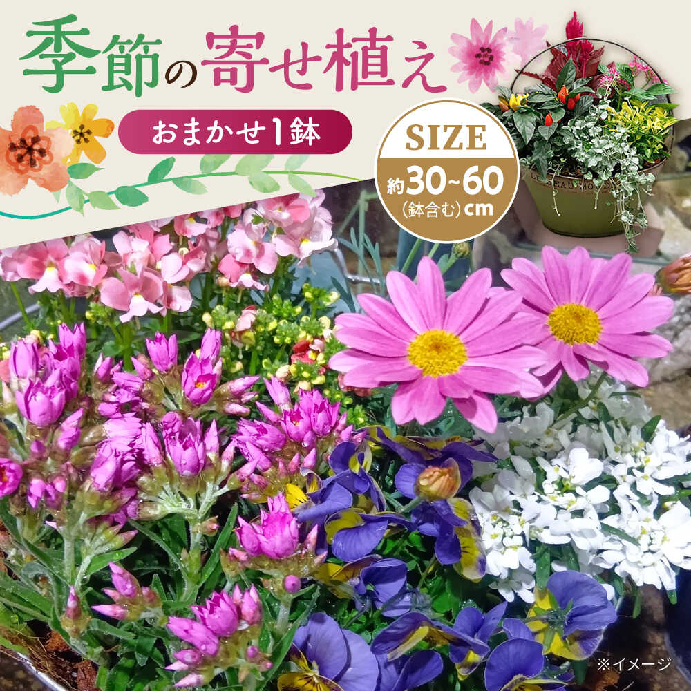 【ふるさと納税】おまかせ 季節の寄せ植え プランター 1鉢 / 観葉植物 鉢植え 鉢 植物 花 フラワー 旬 育てやすい 寄せ植え おしゃれ インテリア プランター 母の日 誕生日 ギフト 贈り物 贈答 プレゼント 母の日ギフト / 大村市 /アトリウム琴花園[ACZZ008]