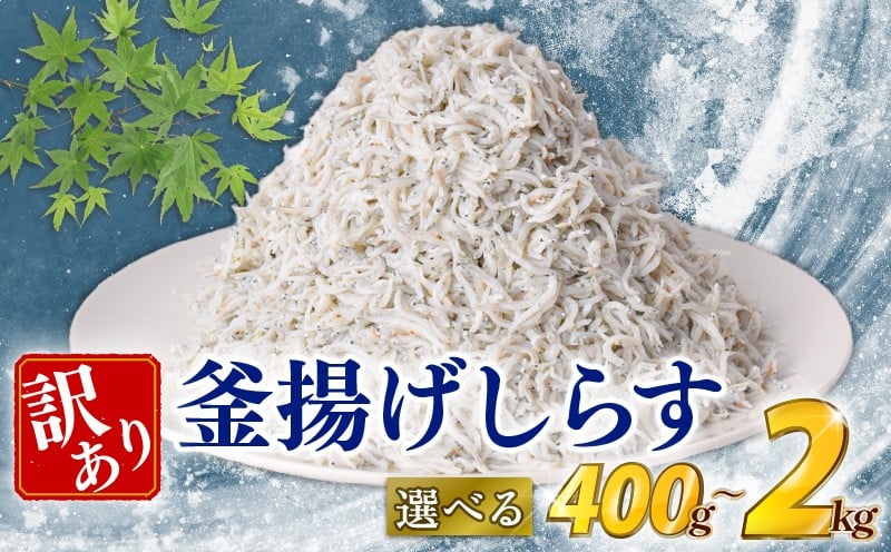 
            しらす 訳あり 400g 500g 800g 1kg 2kg 訳あり 冷凍 ちりめん 釜揚げしらす 減塩 釜揚げ ごはん 丼 パスタ チャーハン サラダ シラス sirasu しらすごはん シラス しらす しらす丼 shirasu sirasu SIRASU 人気シラス 海鮮 魚 魚貝 魚 料理 高知県 安芸市
          
