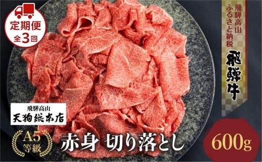 【定期便全3回】A5等級飛騨牛赤身 切り落とし 600g【日付指定不可】| ブランド牛 牛肉 和牛  雌牛 5等級 A5等級 切落し 薄切り 天狗総本店 飛騨高山 BP106