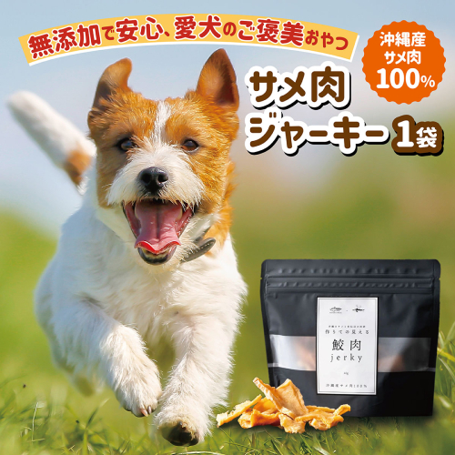 【cafooca /カフーカ】サメ肉ジャーキー（犬用）｜サメ肉 ジャーキー 犬用 ドッグフード おやつ 無添加 沖縄県 南城市 ふるさと納税 cafooca カフーカ