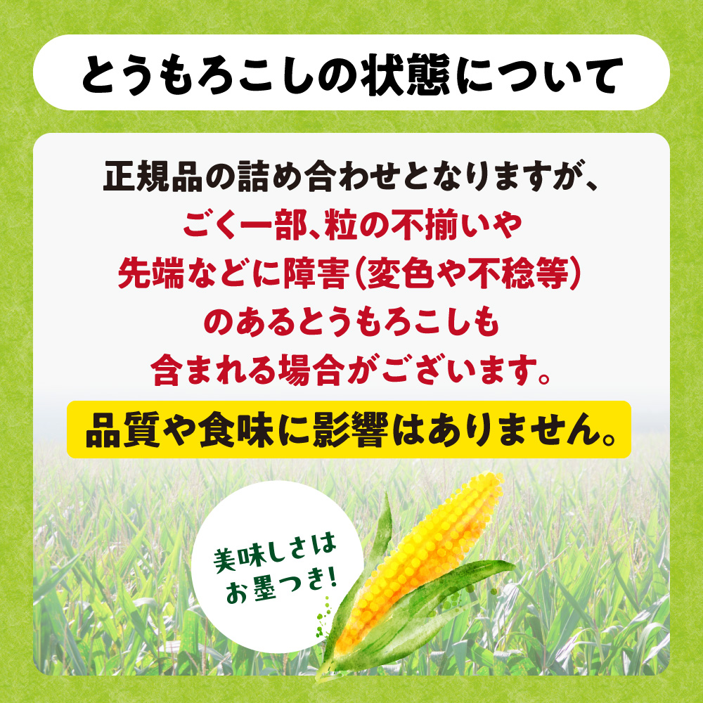 石田ファーム とうもろこし詰め合わせ10本セット（数量限定）