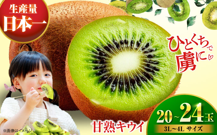 【先行予約】【1月上旬より順次発送】生産量日本一！家族で毎日食べられる！甘熟キウイ　3L〜4Lサイズ（20〜24玉入）　愛媛県大洲市/沢井青果有限会社果物 [AGBN001]キウイ フルーツ かき氷果物 スムージー おやつ ジュース ヨーグルト 手作りスイーツ お菓子作り デザート