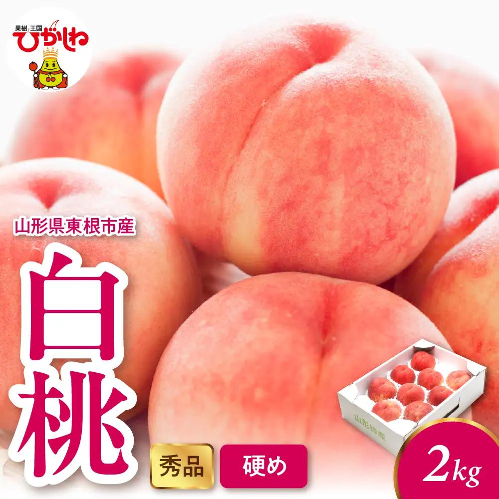 2026年産 白桃（硬め） 2kg 秀品 山形県 東根市 hi082-053 山形県 ヤマガタケン やまがたけん 東根市 ヒガシネシ ひがしねし フルーツ 果物 くだもの クダモノ もも 桃 白桃 ピーチ 品種お任せ 柔らかめ 2026年産 令和8年 先行予約 人気 ふるさと納税