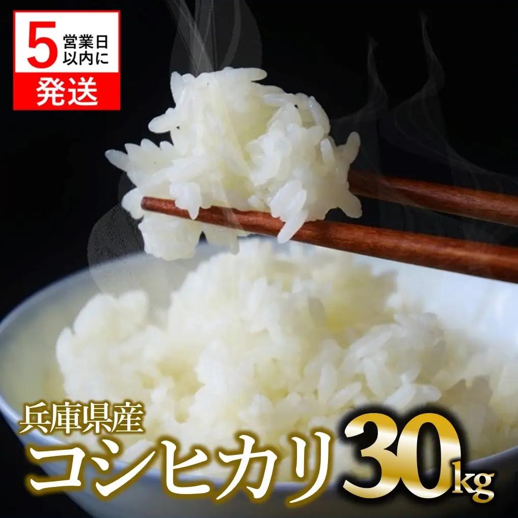 【コシヒカリ】令和7年産 白米30kg【5営業日以内に発送】