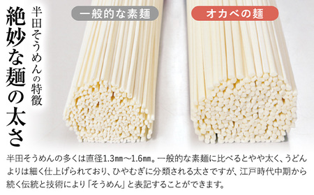 半田そうめん「オカベの麺」 1束90g 13束 《30日以内に出荷予定(土日祝除く)》徳島県 美馬市 株式会社オカベ 半田そうめん オカベの麺 素麺 乾麺 送料無料 めんつゆ無し