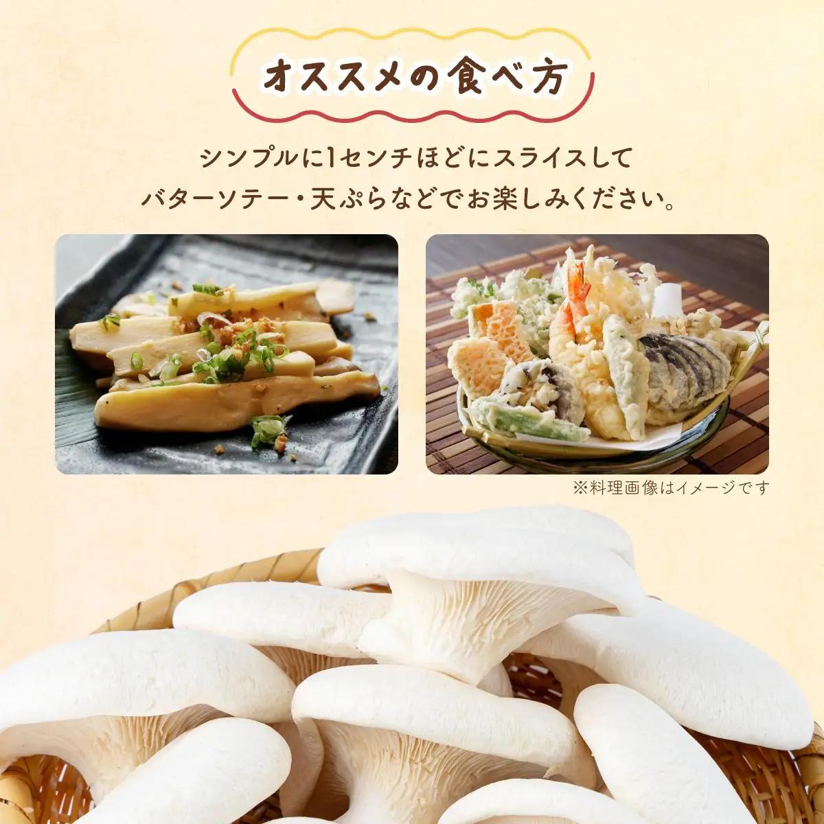珍しいきのこ2種×5パックセット(ゆきれいたけ5パック・王リンギ5パック)　AT15