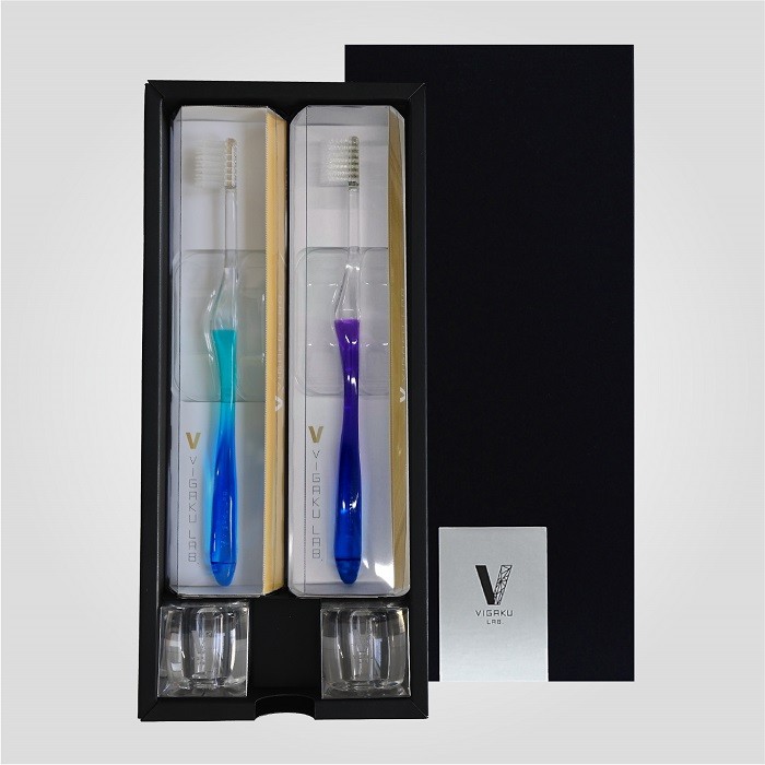 ＜スタンド付き＞VIGAKU LAB.ギフトセット グラデーションクールカラー (歯ブラシ2本・スタンド2個) 【tm-AO004-A】【株式会社タナベ】