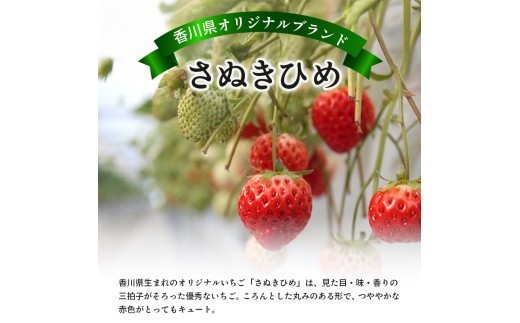 いちごの定期便 4回 Hコース 果物 フルーツ いちご 苺 さぬきひめ スイーツ デザート ケーキ ゼリー ジュース ジェラート アイス いちご大福 フルーツ大福 ジャム クレープ ショートケーキ タ