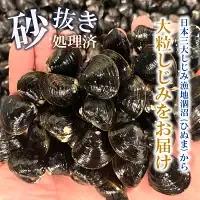 涸沼産 大粒 冷凍 しじみ 2.8kg 大和しじみ 砂抜き済_CB003