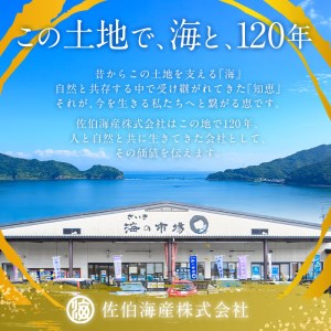 老舗海産物問屋 選りすぐり 佃煮 だし セット (2種) いりこ かつおぶし 出汁 味噌汁 煮物 隠し味 おつまみ おやつ セット 詰合せ 大分県 佐伯市【BQ85】【佐伯海産(株)】