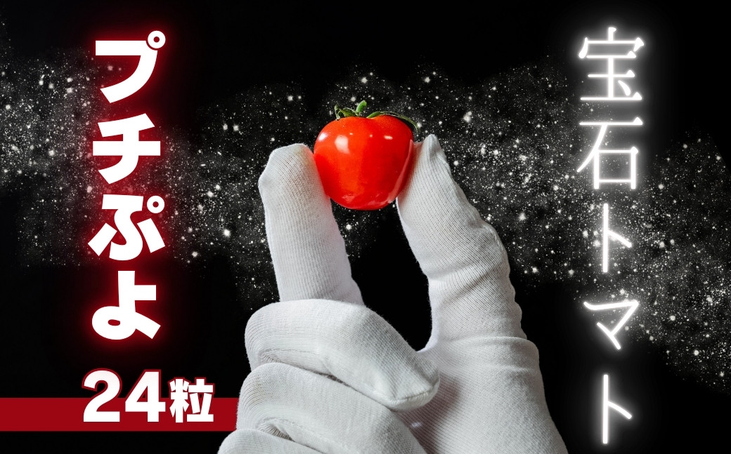 
            《先行予約》希少品種 プチぷよ 24粒 ミニトマト 高糖度 こだわり トマト
          