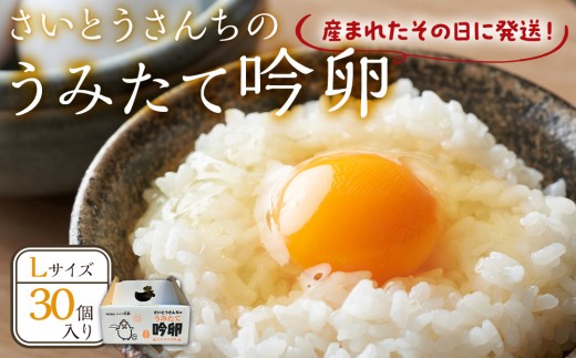 
                  ＼うみたて出荷／ 卵 30個 たまご 玉子 タマゴ 鶏卵 国産 ごはん 卵かけごはん 卵焼き 玉子焼き オムライス 人気 おすすめ お取り寄せ グルメ 宮城
                