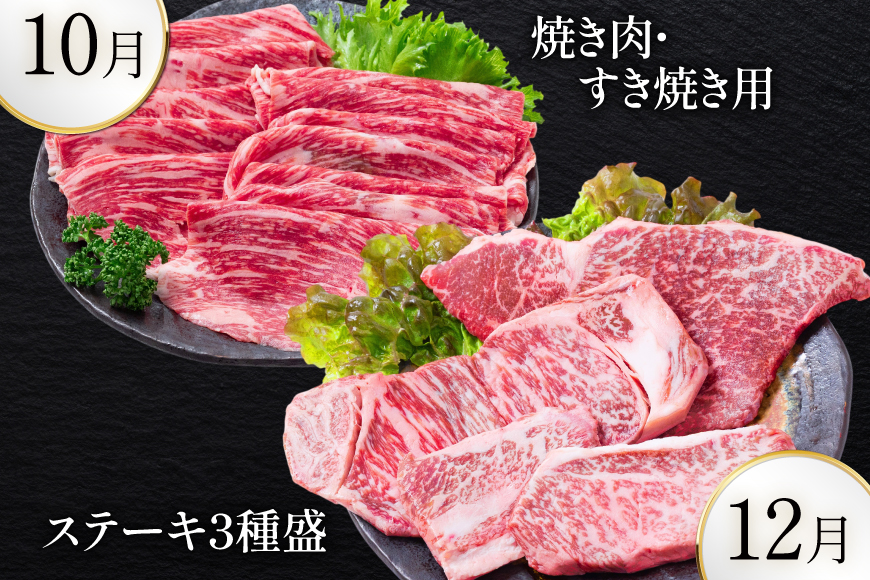 AJ699 【8回定期便】 夏のフルーツと長崎和牛 定期便 [ 果物 フルーツ びわ すいか 小玉スイカ メロン 赤肉メロン ナシ 梨 長崎和牛 定期便 和牛 お肉 肉 牛 牛肉 国産 ステーキ]_イ