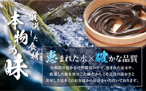 超特大うなぎ白焼2尾セット