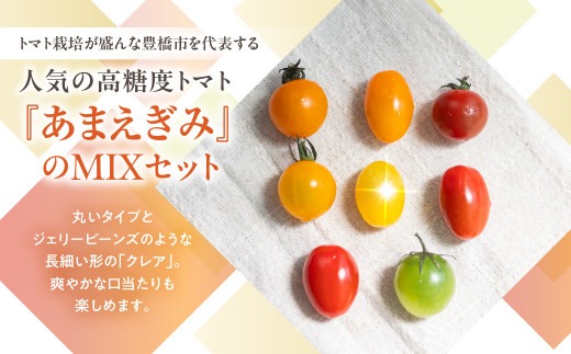 【先行予約】農業王国豊橋の『フルーツトマト　あまえぎみ（オレンジ、グリーン）とクレア（レッド、オレンジ、イエロー）の５色MIX』１kgバラ