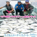 【ふるさと納税】マグロ釣りパヤオツアー&宿泊チケット［2泊・6名様］ライカムコーナースイート