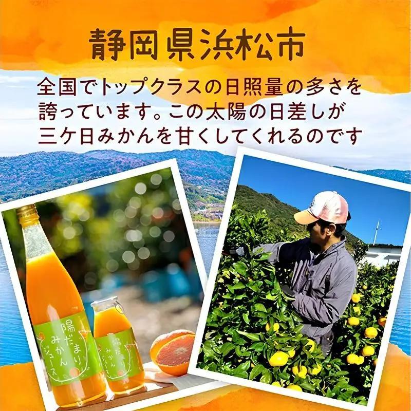 陽だまりファーム 三ヶ日青島みかんジュース ストレート100％ 720ml 4本 青島みかん 静岡 浜松市