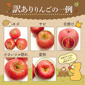 【2026年2月上旬発送】【訳あり】 りんご 10kg サンふじ 青森 不揃い サンふじりんご
