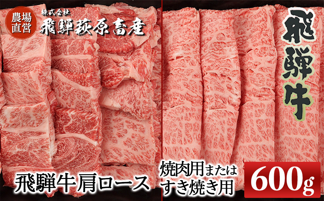 
            【年内順次発送】飛騨牛肩ロース  600g（焼肉用または、すき焼き用）国産 牛肉 ブランド牛 焼き肉 やきにく すきやき ギフト 贈答 高級【冷凍】年内配送 年内発送 年内に届く 年内お届け
          