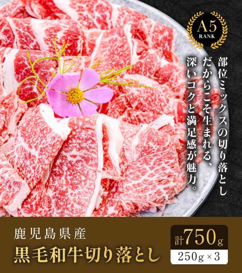 
                  鹿児島県産黒毛和牛切落し250ｇ×3パック 株式会社カミチク 《90日以内に出荷予定(土日祝除く) 》  鹿児島県産 A5 黒毛和牛 和牛 切落し 250ｇ×3パック 計750g
                