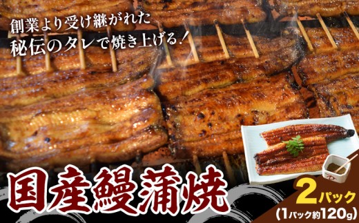 鰻 国産鰻蒲焼 2パック 約 120g ×2 有限会社安井家《30日以内に出荷予定(土日祝除く)》千葉県 我孫子市  鰻 うなぎ 蒲焼 丑の日 蒲焼き 冷蔵 タレ 山椒【配送不可地域あり】(離島)