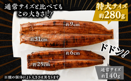 【全6回定期便】薩摩大とろ鰻蒲焼特大サイズ一尾　K190-T03 薩摩 さつま 鹿児島県 鹿児島市 鹿児島 大人気うなぎ 人気うなぎ 鹿児島産うなぎ 鹿児島県産うなぎ 大人気ウナギ 人気ウナギ 鹿児島