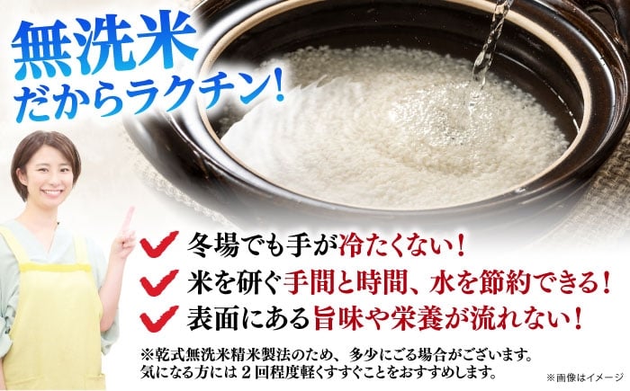 無洗米 ブランド米 コメ 白米