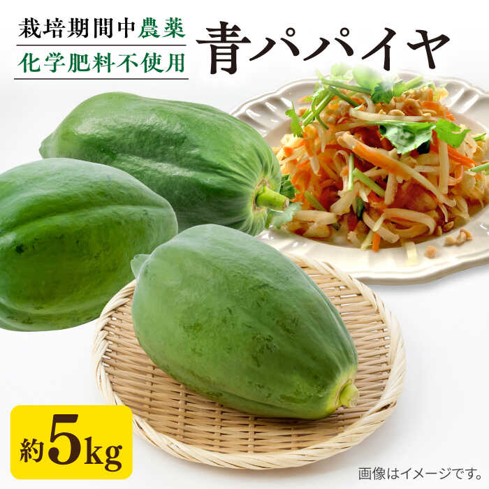 【ふるさと納税】糸島産 青パパイヤ 約5kg 糸島市 / 食と健康のブリッジベース[ANN001] 野菜 タイ料理 沖縄料理 18000円 1万8千円