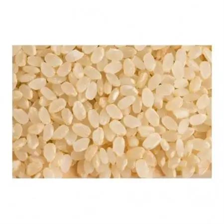 【令和7年産】コシヒカリ　玄米5kg【1443652】