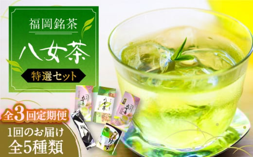 【全3回定期便】福岡銘茶八女茶 特選セット5種 合計550g 老舗製茶店の逸品《豊前市》【株式会社マル五】 [VCL123]