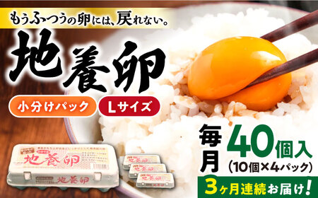 3回定期便 地養卵 Lサイズ 40個 [CBB002] 卵