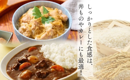 米 玄米【令和8年産 新米】 まっしぐら 10kg 玄米