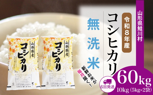 ＜令和8年産米＞ 令和9年1月上旬より発送  こしひかり【無洗米】60kg定期便(10kg×6回） 山形県鮭川村