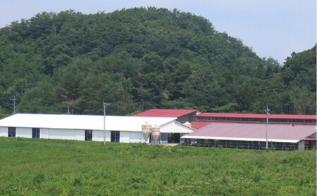 藤増 しまね和牛小間切り 1200ｇ【冷蔵】