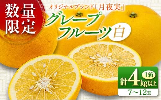 ★テレビで紹介された★ 先行予約 数量限定 グレープフルーツ 月夜実 白 つくよみ 計4kg以上 期間限定 希少 完熟 果物 くだもの 柑橘 オリジナル ブランド 国産 食品 人気 おすすめ デザート スイーツ おやつ おすそ分け お取り寄せ グルメ 産地直送 宮崎県 日南市 送料無料_BBV5-24