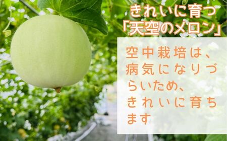 [先行予約]メロン 美土里農園の高糖度メロン ころたん 2玉（1kg×2個）| メロン メロン メロン メロン メロン