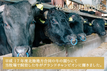 【12ヶ月連続お届け】 『若狭牛 & 季節のケーキ』 ～特別な日を彩る至高のコンビ～ ESSEふるさとグランプリ2023 肉加工品部門 金賞受賞！ [U-1801]