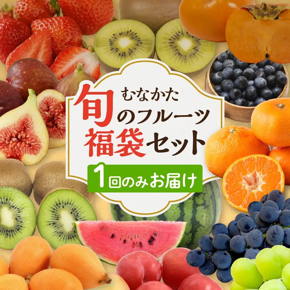 何が届くかお楽しみ！むなかた旬のフルーツ福袋セット【JAほたるの里】_AS1541-00