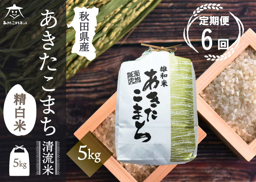 《定期便6ヶ月》あきたこまち 清流米 5kg【白米】 秋田市雄和産 [秋田県産 あきたこまち お米 精米 定期便 5kg 5キロ]